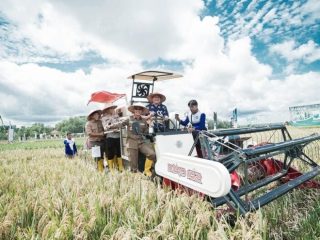 Bupati OKUT Panen Raya Bersama PT Agricon Indonesia